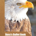 boss-bullet-book